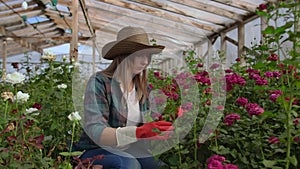 Girl florist in a flower greenhouse sitting examines roses touches hands smiling. Little flower business. Woman gardener