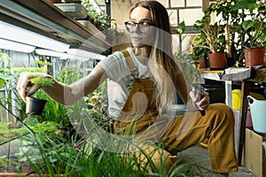 Girl florist work in greenhouse with plants for home garden, flower shop. Woman gardener in orangery