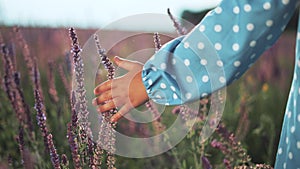 Girl in flower field. Child touches blue flowers with his hand. Girl in blue dress. Child hand touches flowers. Happy