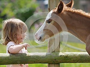 Girl and Foal