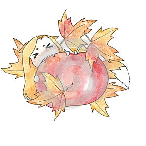Girl fox wolf bites apple maple leaves. Watercolor and liner