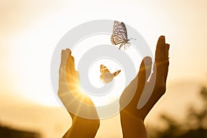 The girl frees the butterfly from  moment Concept of freedom