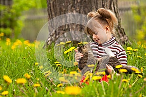 Girl fun playing with a cat in Garden.