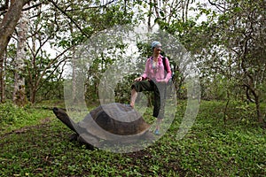 Girl and Galapagos turtle