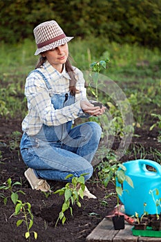 Girl in the garden makes planting seeds