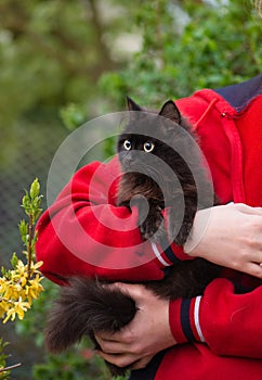 Girl gardener with phone and her cat. Young beautiful woman plays with a kitten in the garden