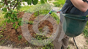 The girl gardener watering the garden at home