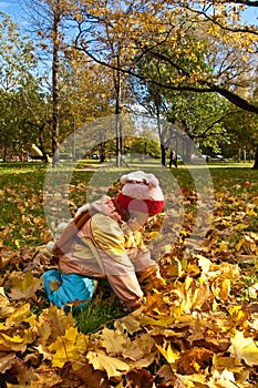 Girl gathering autumn leaves