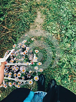 Girl gathering beautiful daisy flowers in canvas bag in cold autumn morning. Tranquil moment. Atmospheric morning. Flowers in bag