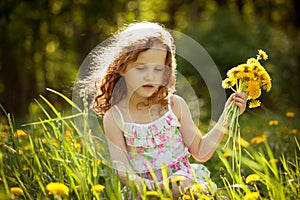 Girl gathers a bouquet of dandelions