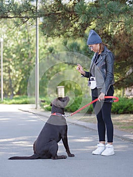 The girl gives commands to the dog, the dog is trained