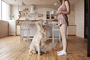 girl gives food to dog in bowl at home, woman feeds golden retriever, hungry dog looks at bowl of food