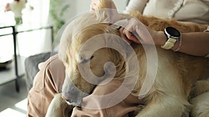 Girl with golden retriever dog