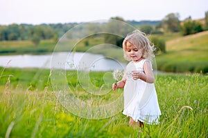 Girl in a green field with a big dandelion on the background of the lake