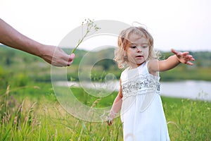 Girl in a green field with a big dandelion and fathers arm