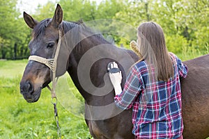Girl grooming horse