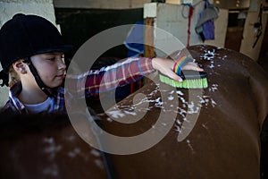 Girl grooming the horse