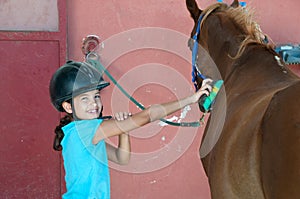 Cuidado un caballo 