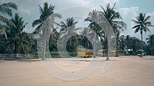 Girl guy ride scooter on square against tropical trees