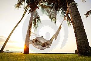 Girl in a hammock bother palm trees enjoying a tropical vacation