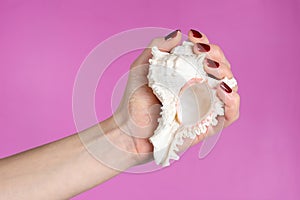 Girl hand with brown nails polish holding a sea shell  on pink background