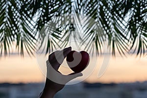 Girl hand holding red heart against the background of the sea in branches of palm trees. Sunset beach. Summer and freedom concept.