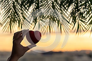 Girl hand holding red heart against the background of the sea in branches of palm trees. Sunset beach. Summer and freedom concept.