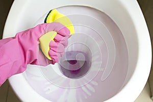 girl hand with pink rubber gloves is cleaning toilet bowl by using toilet wipe.