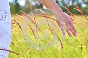 Girl hand stroking wild plants. The concept of unity with nature, purity of life