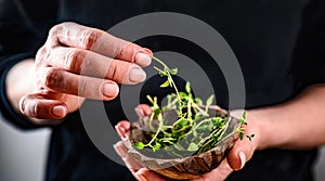 Girl hands holding bowl with microgreen sprouts
