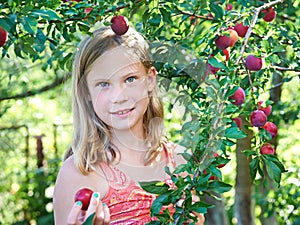 Girl harvests plums