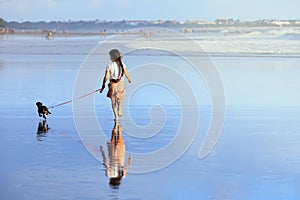 Girl have fun with dachshund dog, run by sea beach