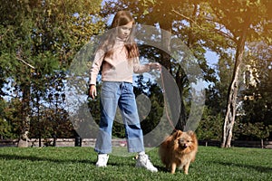 Little girl with her cute dog walking in park