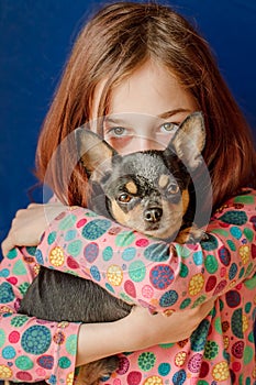 Girl with her dog breed Chihuahua. Child and pet
