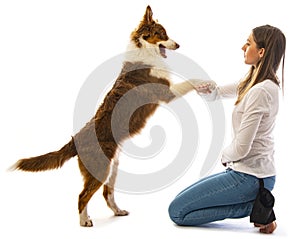 A girl and her dog - obedience