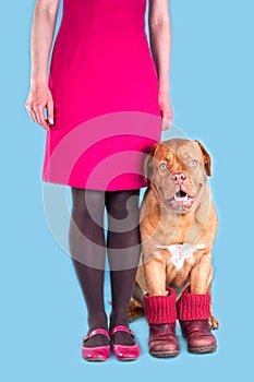 Girl and her dog in purple shoes