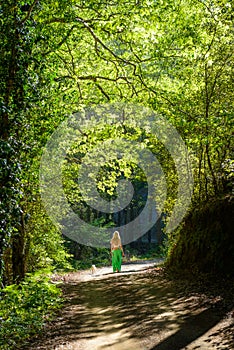 A girl and her dog walking along a hiking trail in the troodos mountains,cyprus,3