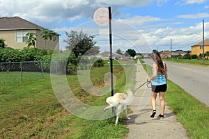 The girl and her dog