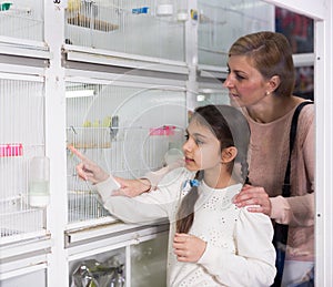 Girl with her mother buying bird in pet store