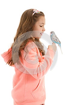 Girl with her pet bird budgerigar photo