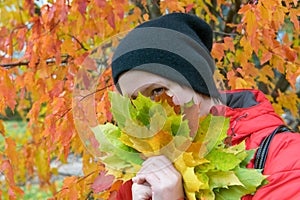 The girl hid in the maple leaves on the background of autumn