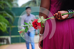 A girl hide redrose photo