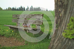 Girl hiding behind a bench