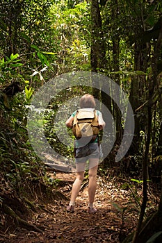 Girl hiker at the jungle forest