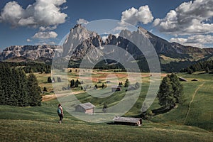 Girl hiking along meadows with wooden cabins at Alpe di Siusi during summer with view to mountains of Plattkofel and Langkofel in