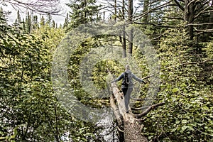 Girl hiking in Canada Ontario Lake of two rivers natural wild landscape near the water in Algonquin National Park