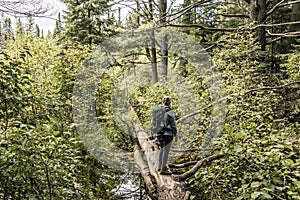 Girl hiking in Canada Ontario Lake of two rivers natural wild landscape near the water in Algonquin National Park