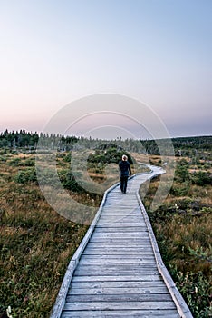 Girl hiking outdoor wooden trail mooreland Cape Breton Island Coast Nova Scotia Highlands Canada