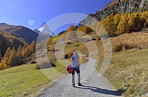 Girl on hiking trail and autumn scene in Zermatt with Matterhorn mountain in background. photo