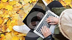 Girl in hipster with laptop in autumn park. A woman in a cap using a laptop while sitting on fallen leaves. Freelancer in the hat